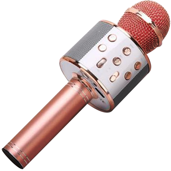 Noir ws858 Sans Fil Microphone Bluetooth Enceinte 2 en 1 Karaoke